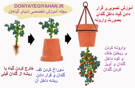 آموزش تصویری ساخت گلدان وارونه