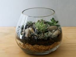 آموزش ساخت تراریوم های کوچک