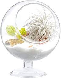 آموزش ساخت تراریوم های کوچک