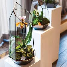 آموزش ساخت تراریوم های کوچک