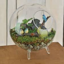 آموزش ساخت تراریوم های کوچک