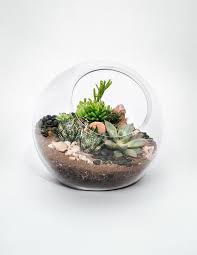 آموزش ساخت تراریوم های کوچک