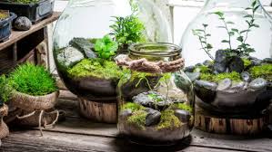 آموزش مدل تراریوم سایز کوچک