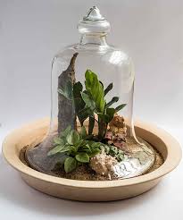 آموزش مدل تراریوم سایز کوچک