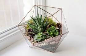 آموزش مدل تراریوم سایز کوچک