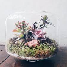 آموزش مدل تراریوم سایز کوچک