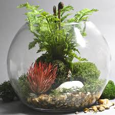 آموزش مدل تراریوم کوچک