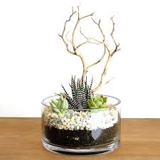 آموزش مدل تراریوم کوچک