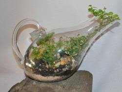 آموزش مدل تراریوم کوچک