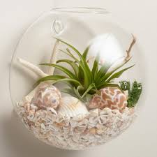 آموزش مدل تراریوم کوچک