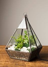 آموزش مدل تراریوم کوچک