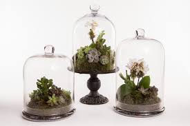 آموزش مدل تراریوم کوچک