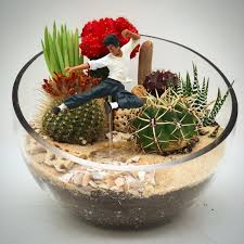 آموزش مدل تراریوم کوچک