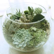 آموزش مدل ساخت تراریوم کوچک آموزش مدل ساخت تراریوم کوچک