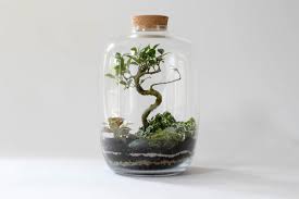 آموزش مدل ساخت تراریوم کوچک آموزش مدل ساخت تراریوم کوچک