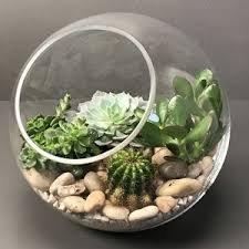 آموزش مدل ساخت تراریوم کوچک آموزش مدل ساخت تراریوم کوچک