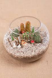 آموزش مدل ساخت تراریوم کوچک آموزش مدل ساخت تراریوم کوچک