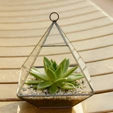 آموزش مدل ساخت تراریوم کوچک آموزش مدل ساخت تراریوم کوچک