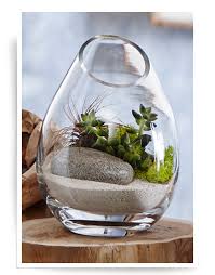 آموزش مدل ساخت تراریوم کوچک آموزش مدل ساخت تراریوم کوچک