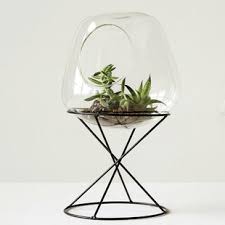 آموزش مدل ساخت تراریوم کوچک آموزش مدل ساخت تراریوم کوچک