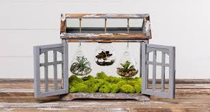 آموزش مدل ساخت تراریوم کوچک آموزش مدل ساخت تراریوم کوچک