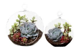 آموزش مدل ساخت تراریوم کوچک آموزش مدل ساخت تراریوم کوچک