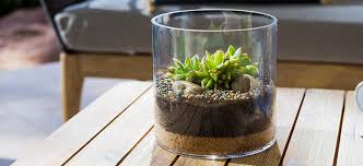 آموزش مدل ساخت تراریوم کوچک آموزش مدل ساخت تراریوم کوچک