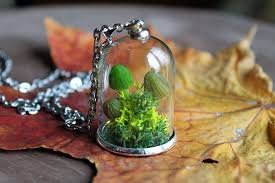 آموزش مدل تراریوم کوچک زیبا آموزش مدل تراریوم کوچک زیبا