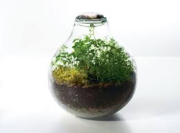 آموزش مدل تراریوم کوچک زیبا آموزش مدل تراریوم کوچک زیبا