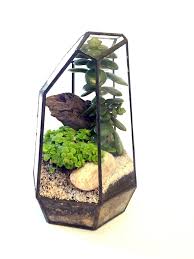 آموزش مدل تراریوم کوچک زیبا آموزش مدل تراریوم کوچک زیبا