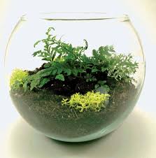 آموزش مدل تراریوم کوچک زیبا آموزش مدل تراریوم کوچک زیبا