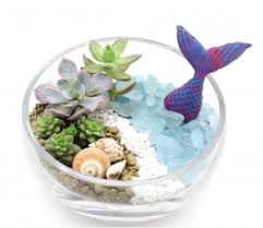 آموزش مدل تراریوم کوچک زیبا آموزش مدل تراریوم کوچک زیبا