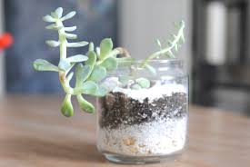 آموزش مدل تراریوم کوچک زیبا آموزش مدل تراریوم کوچک زیبا