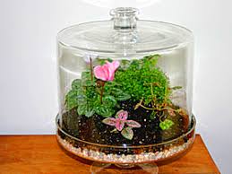 آموزش مدل تراریوم کوچک زیبا آموزش مدل تراریوم کوچک زیبا