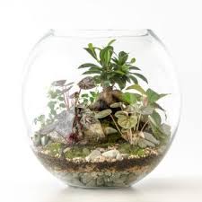 آموزش مدل تراریوم فانتزی