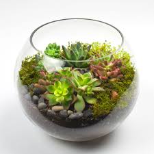 آموزش مدل تراریوم کوچک زیبا آموزش مدل تراریوم کوچک زیبا