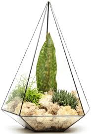 آموزش مدل تراریوم کوچک زیبا آموزش مدل تراریوم کوچک زیبا