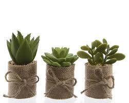 آموزش مدل تراریوم فانتزی