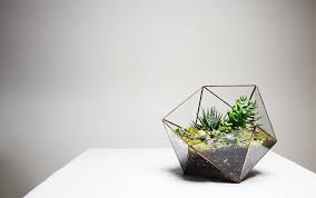 آموزش مدل تراریوم کوچک زیبا آموزش مدل تراریوم کوچک زیبا