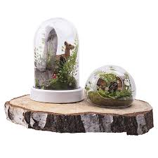 آموزش مدل تراریوم فانتزی