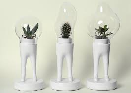 آموزش مدل تراریوم فانتزی