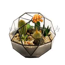 آموزش مدل تراریوم فانتزی