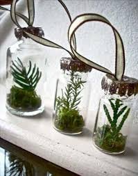 آموزش مدل تراریوم فانتزی