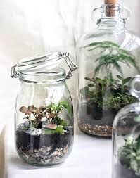 آموزش مدل تراریوم فانتزی