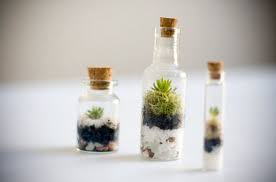 آموزش مدل تراریوم کوچک آموزش مدل تراریوم کوچک