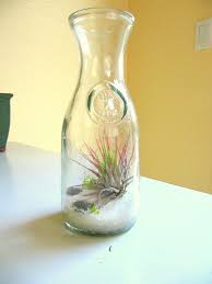 آموزش مدل تراریوم کوچک آموزش مدل تراریوم کوچک