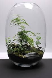 آموزش مدل تراریوم کوچک آموزش مدل تراریوم کوچک