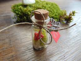 آموزش مدل تراریوم کوچک آموزش مدل تراریوم کوچک