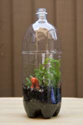 آموزش مدل تراریوم کوچک آموزش مدل تراریوم کوچک