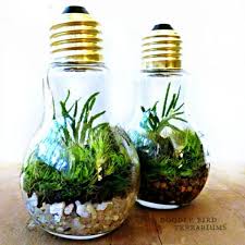 آموزش مدل تراریوم کوچک آموزش مدل تراریوم کوچک